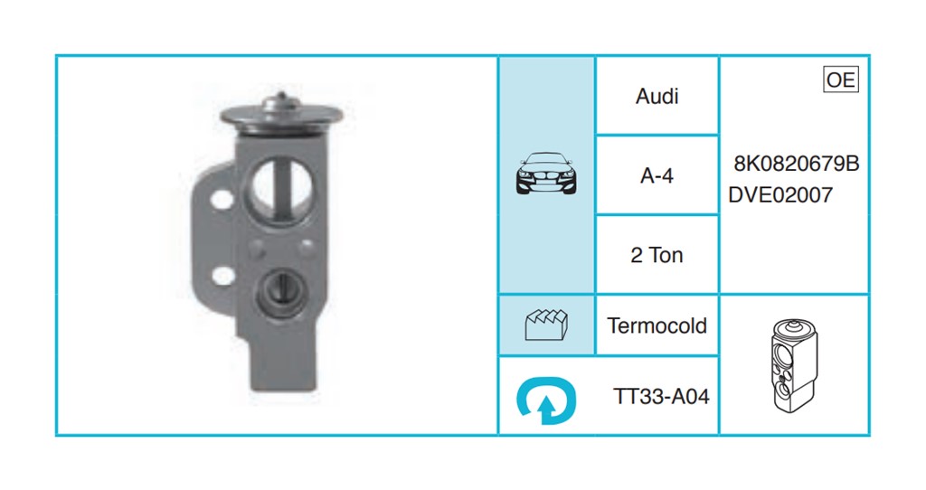 AUDI A4 Expansion Valf TT33-A04