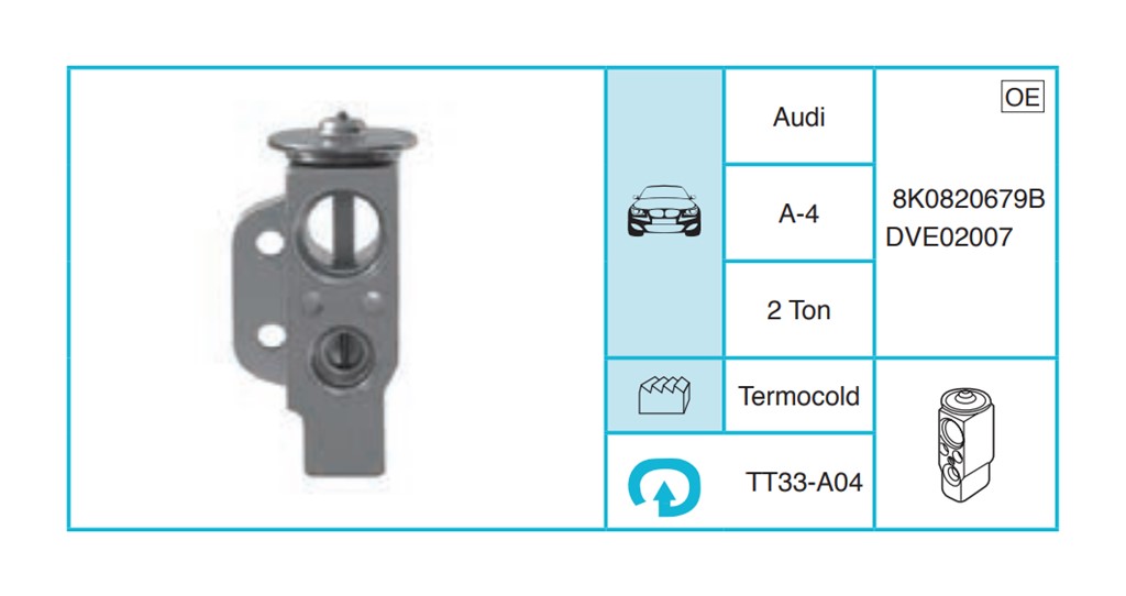 AUDI A4 Ekspansiyon Valf TT33-A04