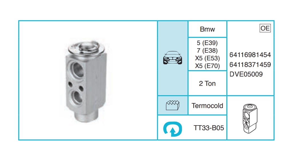 BMW 5 (E39) 7 (E38) X5 (E53) X5 (E70) Expansion Valf TT33-B05