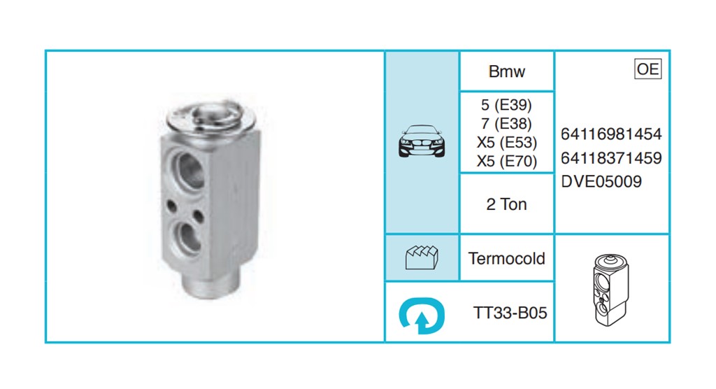 BMW 5 (E39) 7 (E38) X5 (E53) X5 (E70) Ekspansiyon Valf TT33-B05