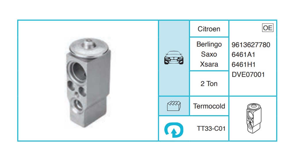 CITROEN Berlingo Saxo Xsara Expansion Valf TT33-C01
