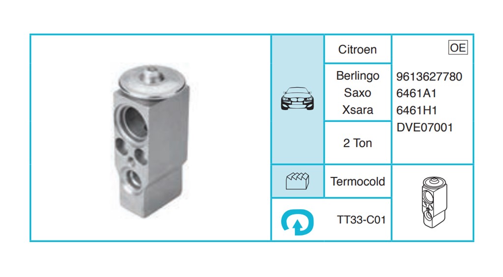 CITROEN Berlingo Saxo Xsara Ekspansiyon Valf TT33-C01