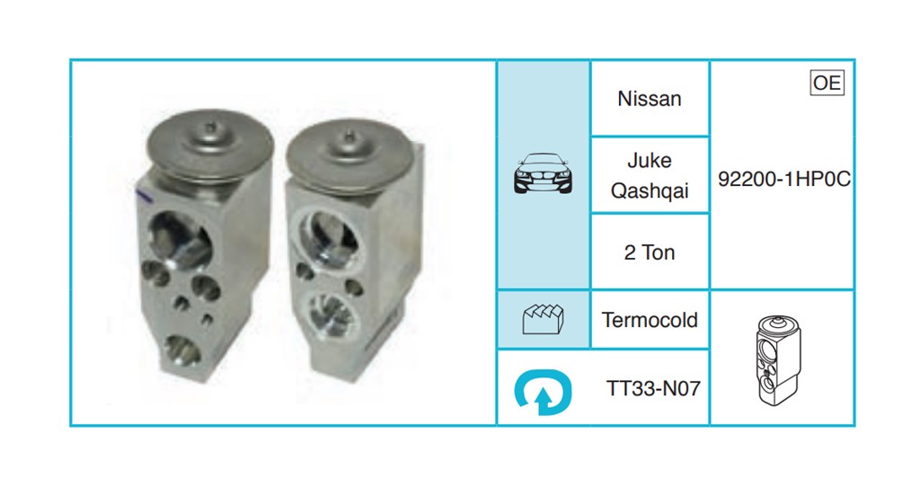 NISSAN Juke Qashqai Expansion Valf TT33-N07