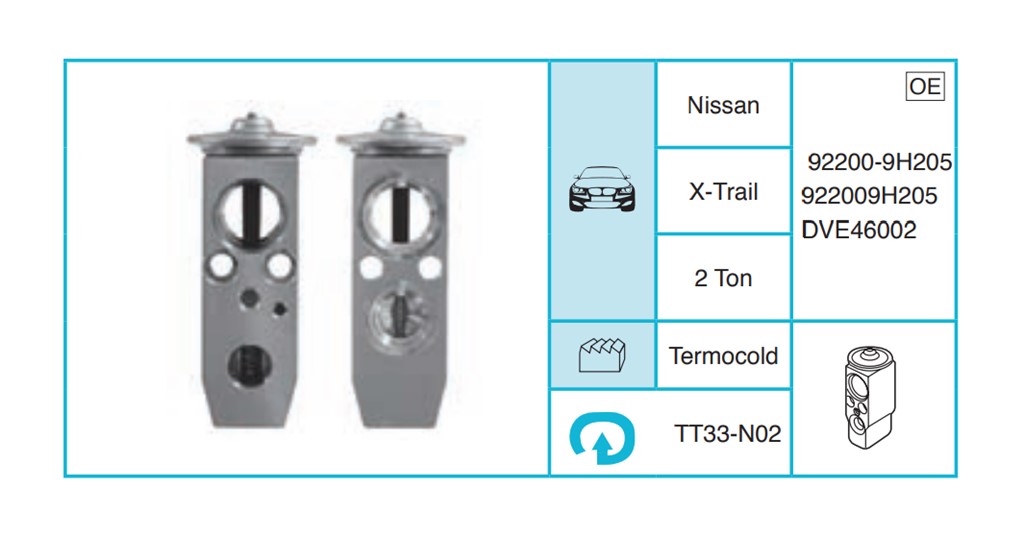 NISSAN X-Trail Expansion Valf TT33-N02