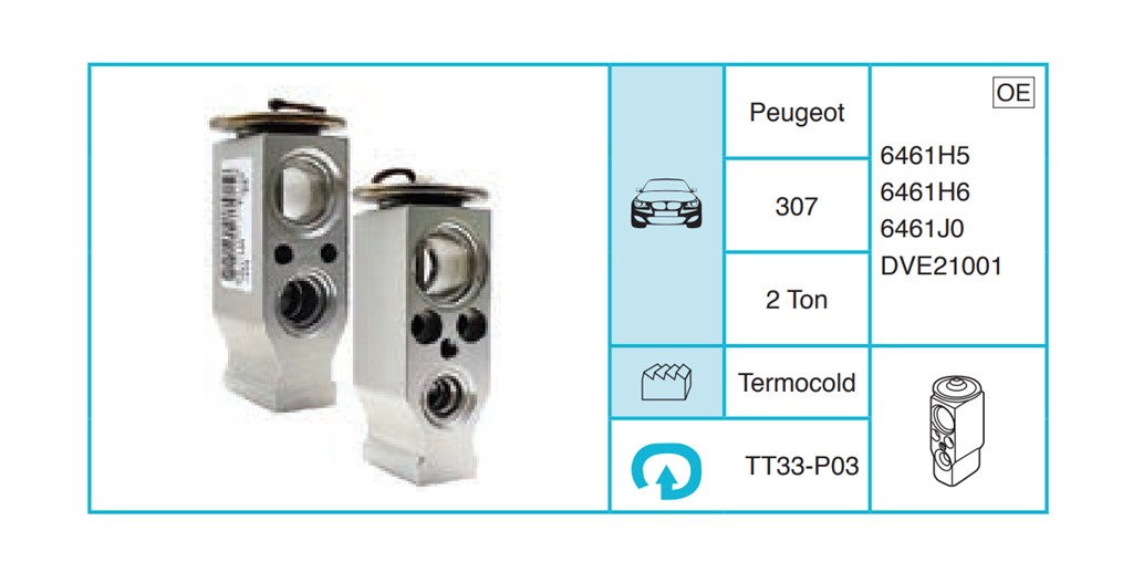 PEUGEOT 307 Ekspansiyon Valf TT33-P03