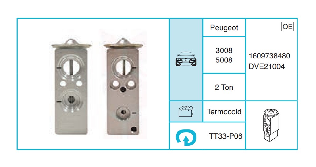 PEUGEOT 3008 5008 Expansion Valf TT33-P06