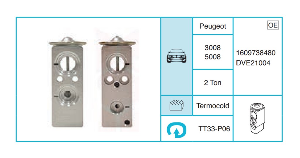 PEUGEOT 3008 5008 Ekspansiyon Valf TT33-P06