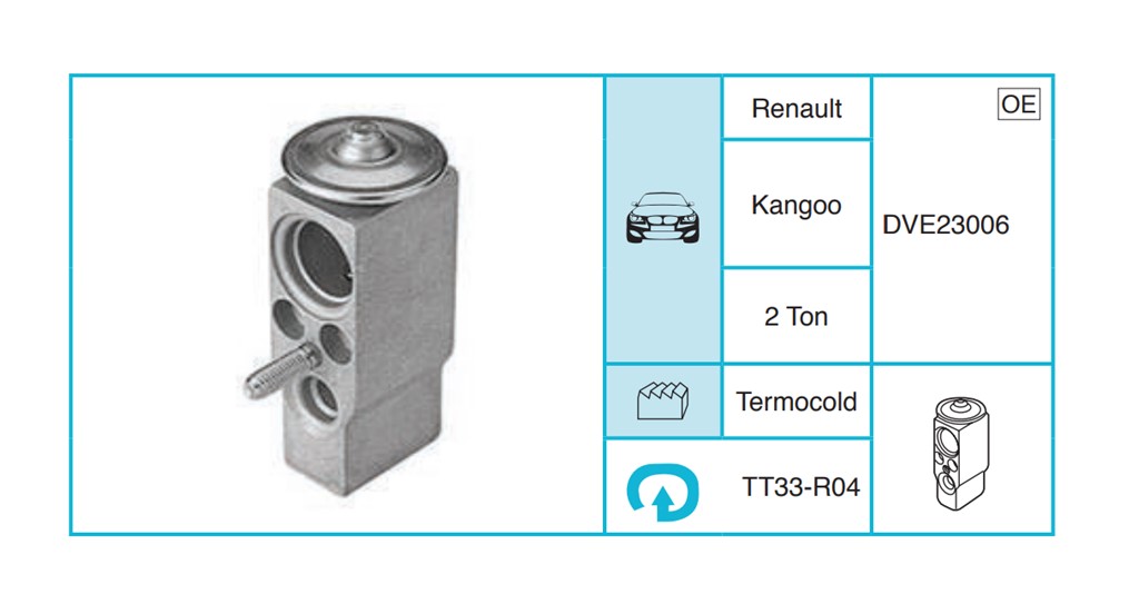 RENAULT Kangoo Expansion Valf TT33-R04