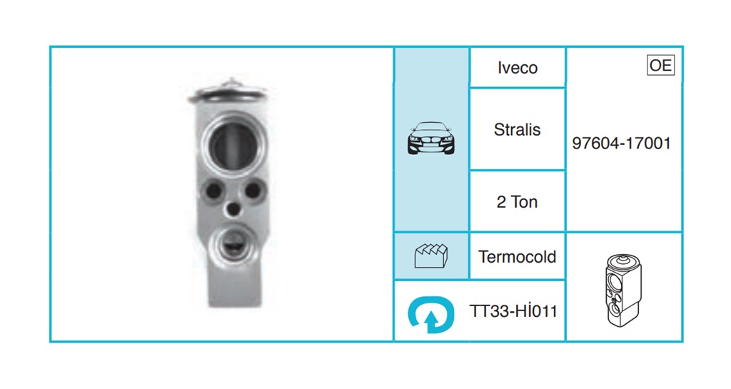 IVECO Stralis Expansion Valf TT33-I01