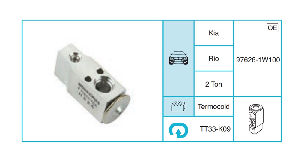 KIA Rio Expansion Valf TT33-K09