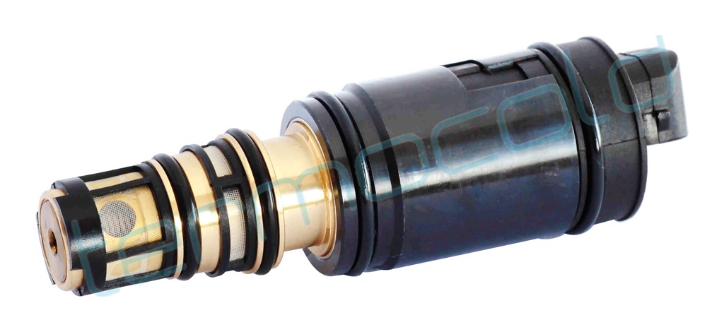 BMW - Kontrol Valf TTPC008-29