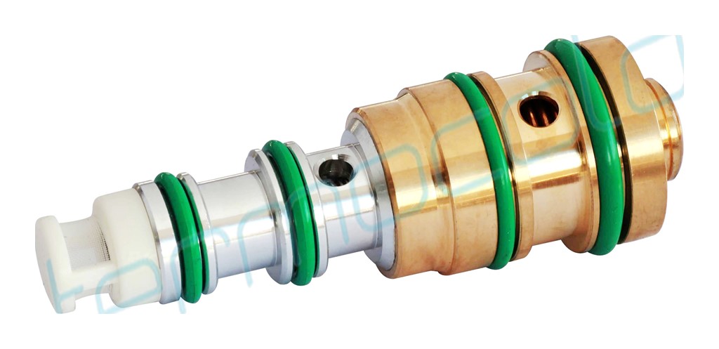 FORD Focus, Fiesta Kontrol Valf TTPC010