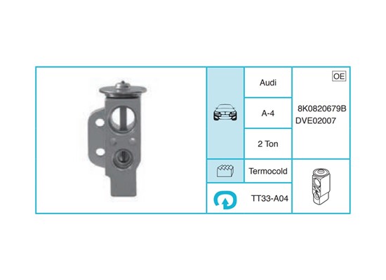 AUDI A4 Ekspansiyon Valf TT33-A04