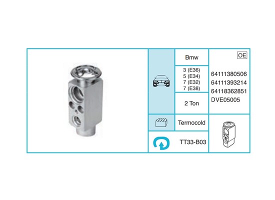 BMW 3 (E36) 5 (E34) 7 (E32) 7 (E38) Expansion Valf TT33-B03