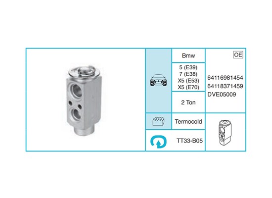 BMW 5 (E39) 7 (E38) X5 (E53) X5 (E70) Ekspansiyon Valf TT33-B05