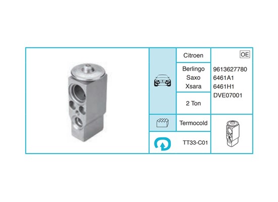 CITROEN Berlingo Saxo Xsara Ekspansiyon Valf TT33-C01