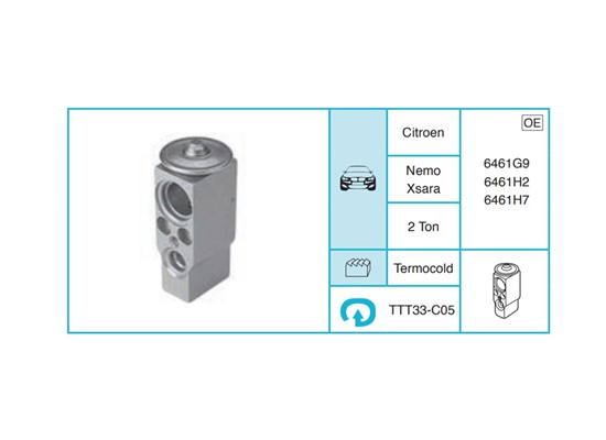 CITROEN Nemo Xsara Expansion Valf TTT33-C05