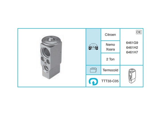 CITROEN Nemo Xsara Ekspansiyon Valf TTT33-C05