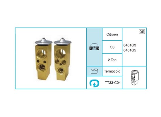 CITROEN C3 Ekspansiyon Valf TT33-C04