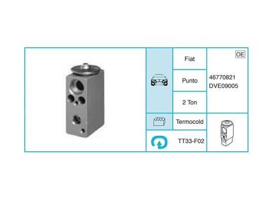 FIAT Punto Expansion Valf TT33-F02 - 1