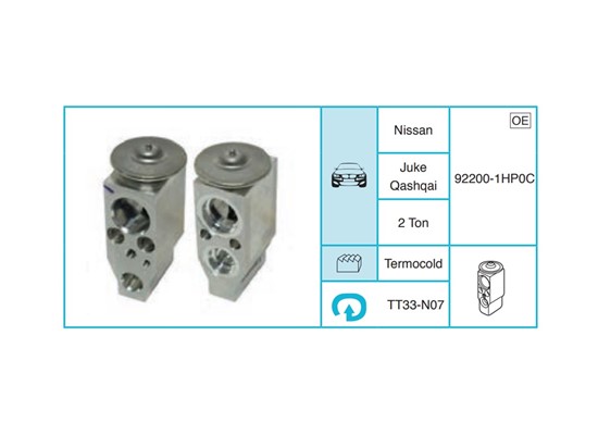 NISSAN Juke Qashqai Ekspansiyon Valf TT33-N07