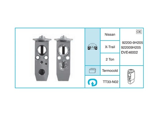 NISSAN X-Trail Ekspansiyon Valf TT33-N02