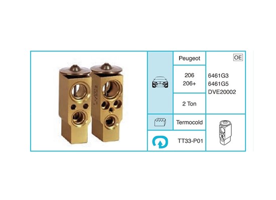 PEUGEOT 206 206+ Ekspansiyon Valf TT33-P01