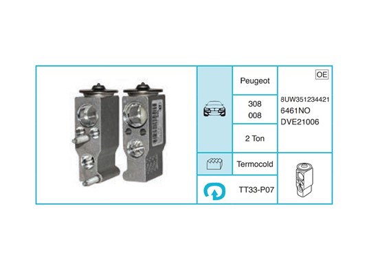 PEUGEOT 308 008 Expansion Valf TT33-P07
