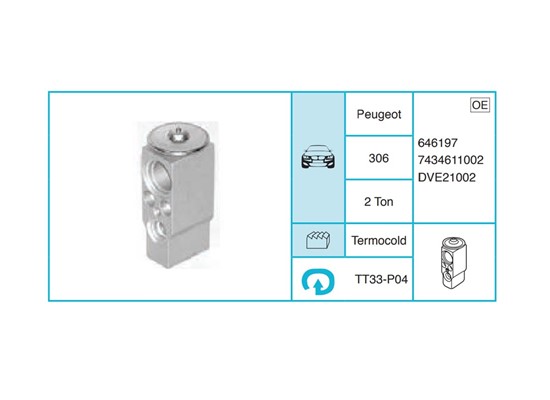 PEUGEOT 306 Ekspansiyon Valf TT33-P04