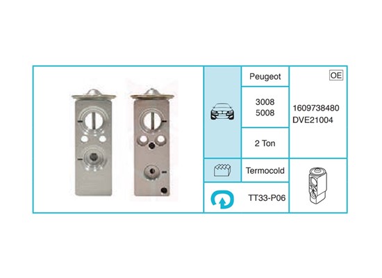 PEUGEOT 3008 5008 Expansion Valf TT33-P06