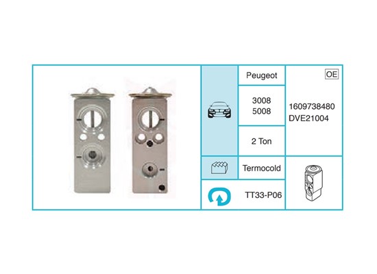 PEUGEOT 3008 5008 Ekspansiyon Valf TT33-P06
