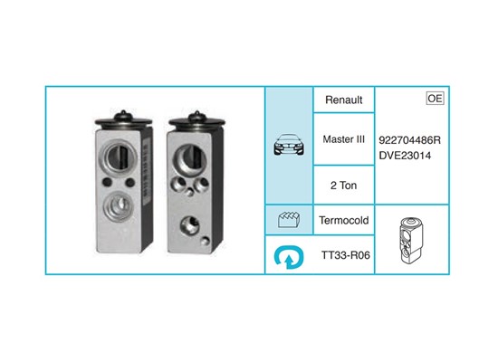 RENAULT Master III Expansion Valf TT33-R06