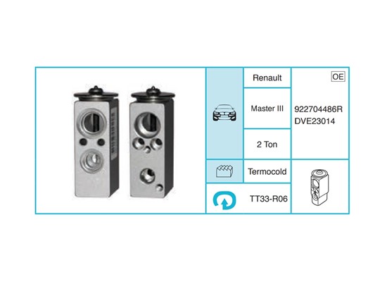 RENAULT Master III Ekspansiyon Valf TT33-R06