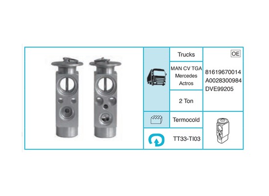 MAN CV TGA Expansion Valf TT33-TI03