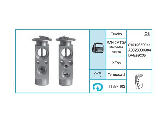 MAN CV TGA Ekspansiyon Valf TT33-TI03