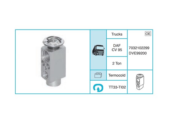 DAF CV 95 Ekspansiyon Valf TT33-TI02