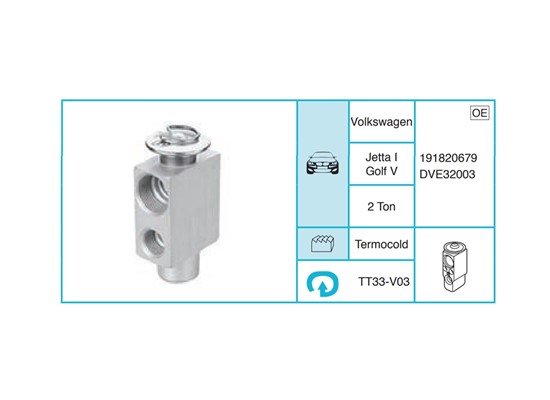 VOLKSWAGEN Jetta I Golf V Ekspansiyon Valf TT33-V03