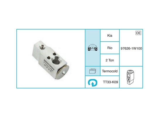 KIA Rio Ekspansiyon Valf TT33-K09