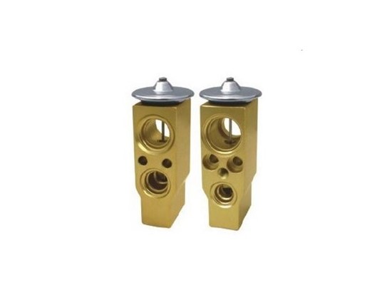 RENAULT Clio II Clio III Expansion Valf TTDVE23004