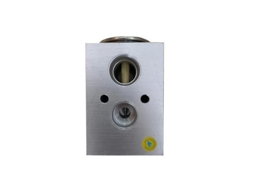 CATERPILLAR - Expansion Valf TT16474566 - 2