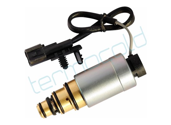 MERCEDES S-CALSS Kontrol Valf TTPC008-8B - 1