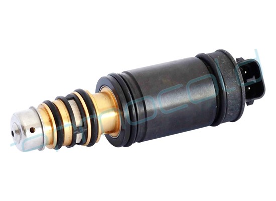 AUDI - Kontrol Valf TTPC008-33 - 1