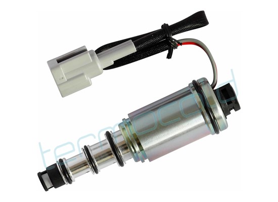 RENAULT - Kontrol Valf TTPC008-36 - 1