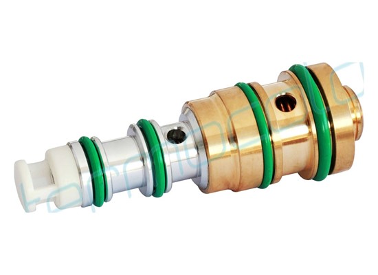 FORD Focus, Fiesta Kontrol Valf TTPC010 - 1