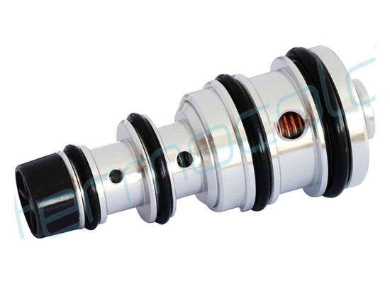 RENAULT - Kontrol Valf TTPC025 - 1